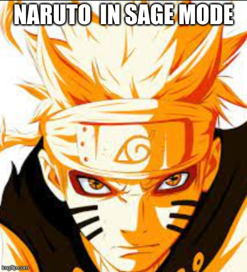 One of my better drawings | NARUTO  IN SAGE MODE | made w/ Imgflip meme maker
