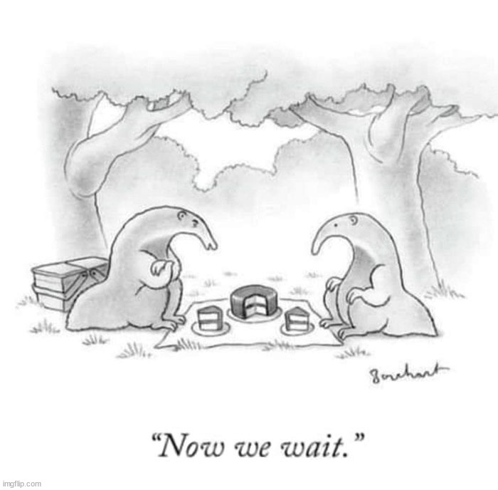 image tagged in comics/cartoons | made w/ Imgflip meme maker