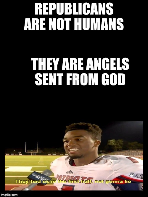 im righrt | REPUBLICANS ARE NOT HUMANS; THEY ARE ANGELS SENT FROM GOD | image tagged in double long black template | made w/ Imgflip meme maker