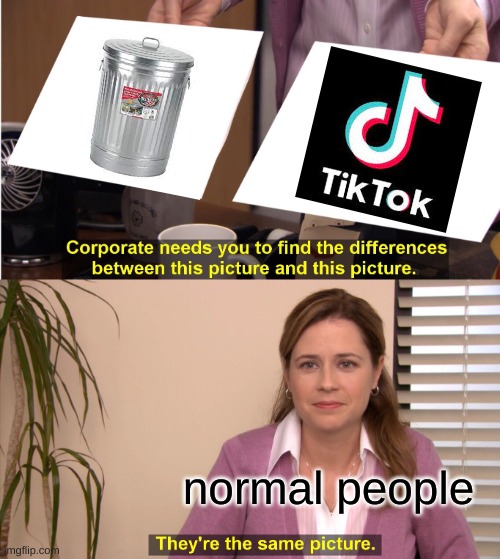 They're The Same Picture | normal people | image tagged in memes,they're the same picture | made w/ Imgflip meme maker