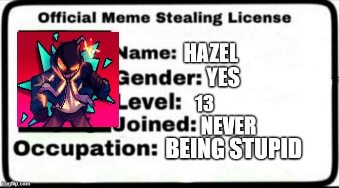 Meme | HAZEL; YES; 13; NEVER; BEING STUPID | image tagged in meme stealing license | made w/ Imgflip meme maker
