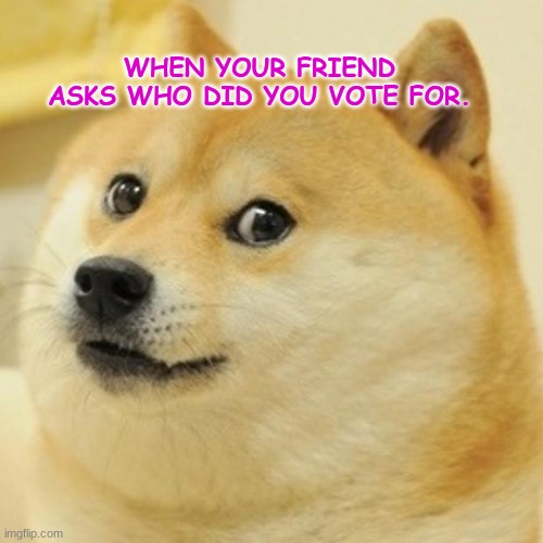 Doge | WHEN YOUR FRIEND ASKS WHO DID YOU VOTE FOR. | image tagged in memes,doge | made w/ Imgflip meme maker