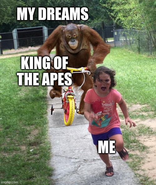 Orangutan chasing girl on a tricycle | MY DREAMS; KING OF THE APES; ME | image tagged in orangutan chasing girl on a tricycle | made w/ Imgflip meme maker