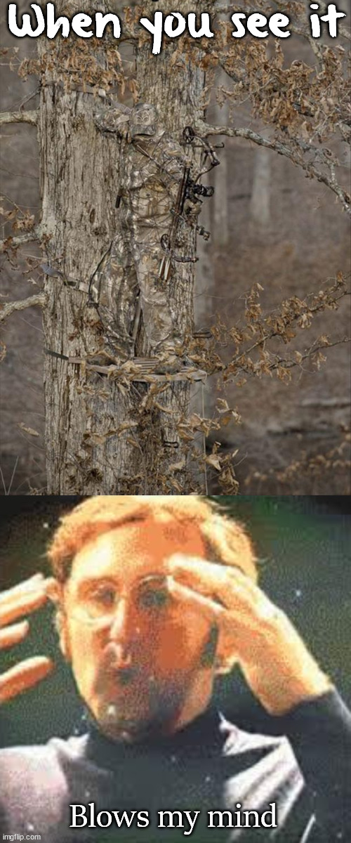 hidden 100+ |  When you see it; Blows my mind | image tagged in mind blown,camouflage,you can't see me | made w/ Imgflip meme maker