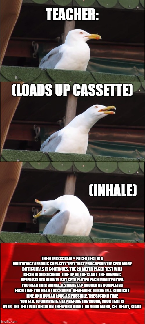 Inhaling Seagull Meme | TEACHER:; (LOADS UP CASSETTE); (INHALE); THE FITNESSGRAM™ PACER TEST IS A MULTISTAGE AEROBIC CAPACITY TEST THAT PROGRESSIVELY GETS MORE DIFFICULT AS IT CONTINUES. THE 20 METER PACER TEST WILL BEGIN IN 30 SECONDS. LINE UP AT THE START. THE RUNNING SPEED STARTS SLOWLY, BUT GETS FASTER EACH MINUTE AFTER YOU HEAR THIS SIGNAL. A SINGLE LAP SHOULD BE COMPLETED EACH TIME YOU HEAR THIS SOUND. REMEMBER TO RUN IN A STRAIGHT LINE, AND RUN AS LONG AS POSSIBLE. THE SECOND TIME YOU FAIL TO COMPLETE A LAP BEFORE THE SOUND, YOUR TEST IS OVER. THE TEST WILL BEGIN ON THE WORD START. ON YOUR MARK, GET READY, START. | image tagged in memes,inhaling seagull | made w/ Imgflip meme maker