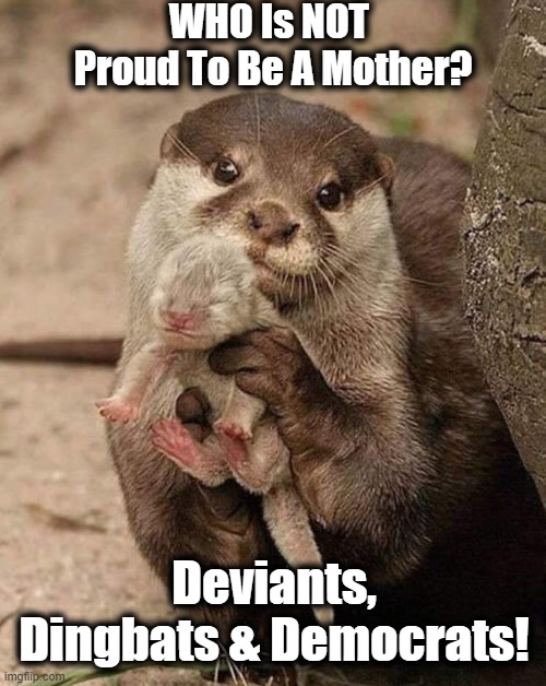 A Mother's Pride! | WHO Is NOT 
Proud To Be A Mother? Deviants, Dingbats & Democrats! | image tagged in politics,life,motherhood,liberals | made w/ Imgflip meme maker