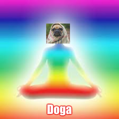 Doga - yoga for dogs | Doga | image tagged in yoga pants week,bad pun dog | made w/ Imgflip meme maker