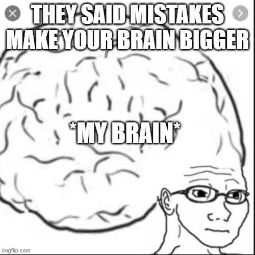 me brain | THEY SAID MISTAKES MAKE YOUR BRAIN BIGGER; *MY BRAIN* | image tagged in lol,fun,funny,funny memes,meme | made w/ Imgflip meme maker