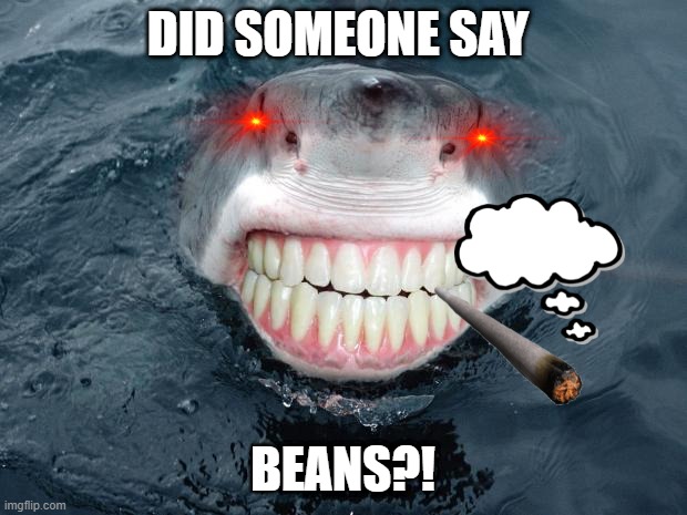 New peoples memes be like: | DID SOMEONE SAY; BEANS?! | image tagged in sharkteeth | made w/ Imgflip meme maker