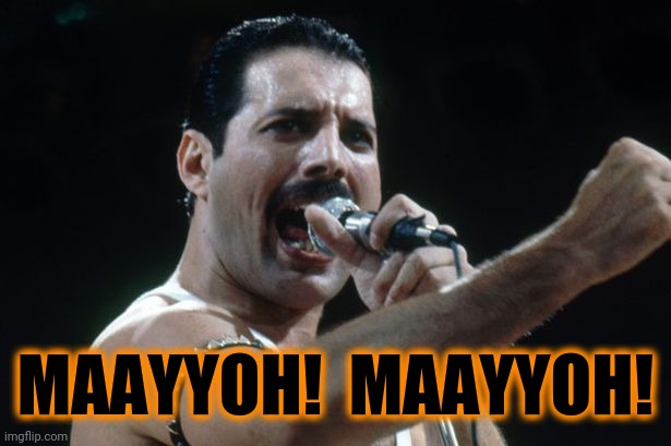 Freddie Mercury | MAAYYOH!  MAAYYOH! | image tagged in freddie mercury | made w/ Imgflip meme maker