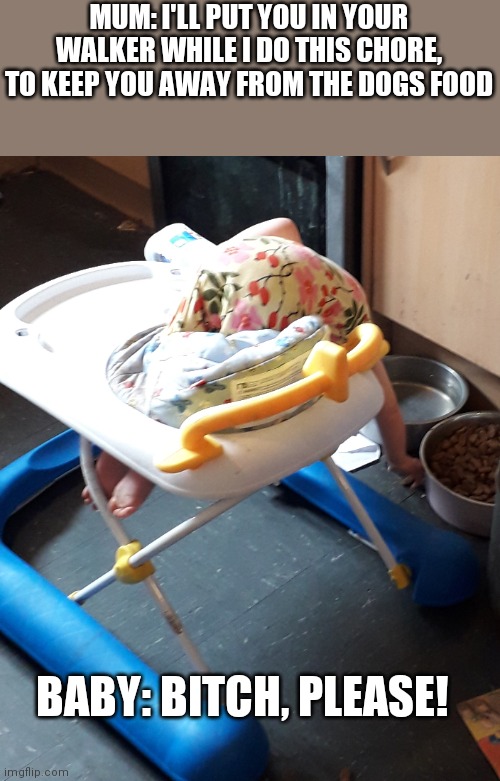 MUM: I'LL PUT YOU IN YOUR WALKER WHILE I DO THIS CHORE, TO KEEP YOU AWAY FROM THE DOGS FOOD; BABY: BITCH, PLEASE! | image tagged in parenting | made w/ Imgflip meme maker