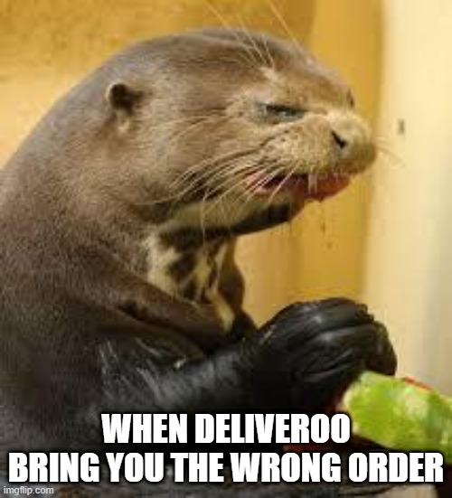 Deliveroo wrong order |  WHEN DELIVEROO BRING YOU THE WRONG ORDER | image tagged in disgusted otter | made w/ Imgflip meme maker