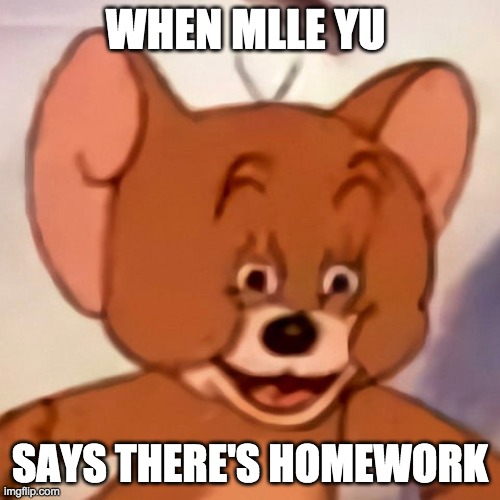 Meme | WHEN MLLE YU; SAYS THERE'S HOMEWORK | image tagged in funny memes | made w/ Imgflip meme maker