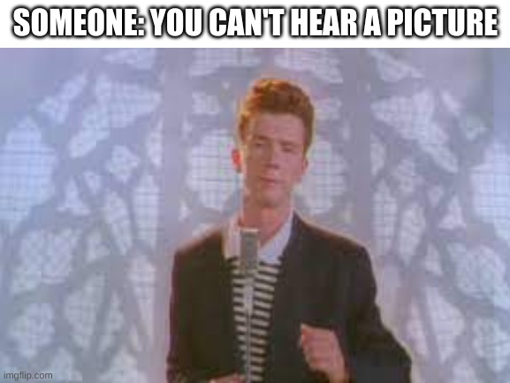 can you? | SOMEONE: YOU CAN'T HEAR A PICTURE | image tagged in never gonna give you up | made w/ Imgflip meme maker