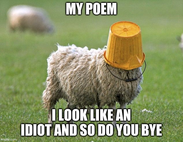 poem by  az09_u | MY POEM; I LOOK LIKE AN IDIOT AND SO DO YOU BYE | image tagged in stupid sheep | made w/ Imgflip meme maker
