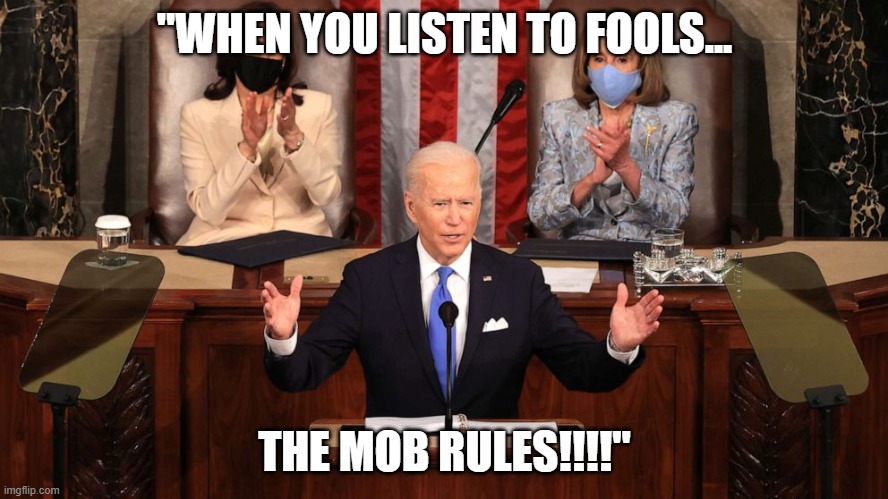 "When you listen to fools... | "WHEN YOU LISTEN TO FOOLS... THE MOB RULES!!!!" | image tagged in usurpers agenda,nwo,stolen election | made w/ Imgflip meme maker