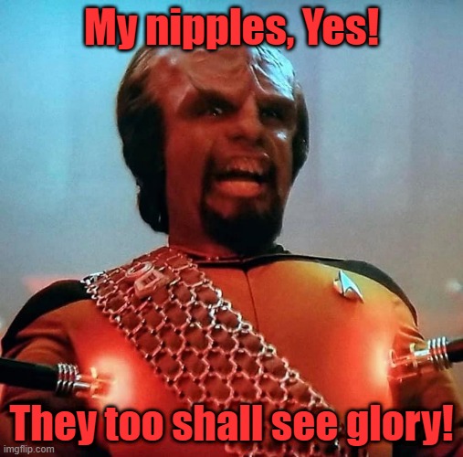 My nipples, Yes! They too shall see glory! | image tagged in worf | made w/ Imgflip meme maker
