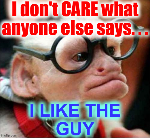 Gangster Monkey | I don't CARE what
anyone else says. . . I LIKE THE
GUY | image tagged in gangster monkey | made w/ Imgflip meme maker