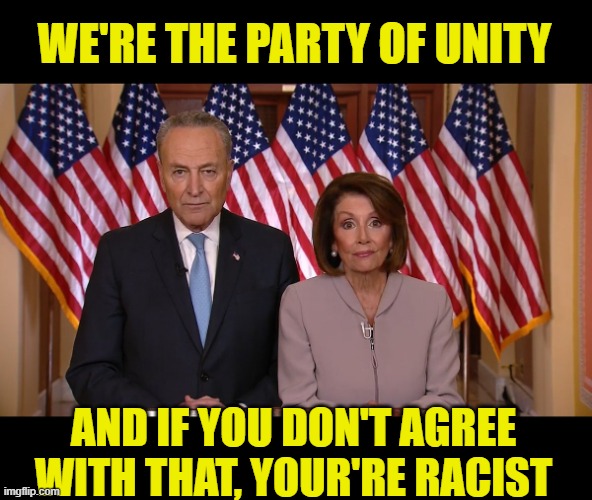 Chuck and Nancy | WE'RE THE PARTY OF UNITY AND IF YOU DON'T AGREE WITH THAT, YOUR'RE RACIST | image tagged in chuck and nancy | made w/ Imgflip meme maker