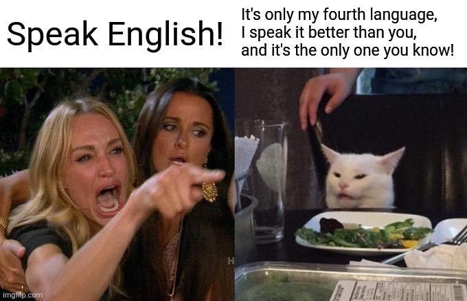 Few things are sillier or more entitled... | Speak English! It's only my fourth language, I speak it better than you, and it's the only one you know! | image tagged in memes,woman yelling at cat | made w/ Imgflip meme maker