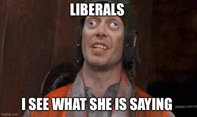 Looks Good To Me | LIBERALS I SEE WHAT SHE IS SAYING | image tagged in looks good to me | made w/ Imgflip meme maker