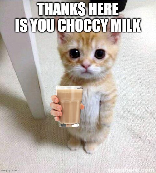 Cute Cat Meme | THANKS HERE IS YOU CHOCCY MILK | image tagged in memes,cute cat | made w/ Imgflip meme maker