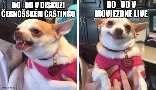 angry calm dog | DO_OD V MOVIEZONE LIVE; DO_OD V DISKUZI ČERNOŠSKÉM CASTINGU | image tagged in angry calm dog | made w/ Imgflip meme maker