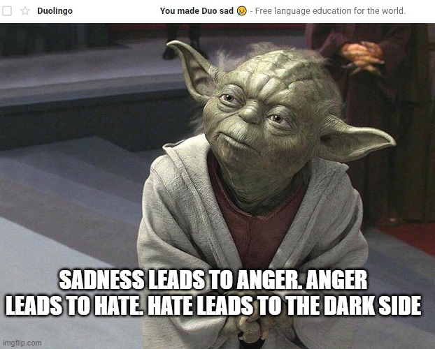 Duo is a sith | SADNESS LEADS TO ANGER. ANGER LEADS TO HATE. HATE LEADS TO THE DARK SIDE | image tagged in fear leads to anger anger leads to hate hate leads to sufferin | made w/ Imgflip meme maker