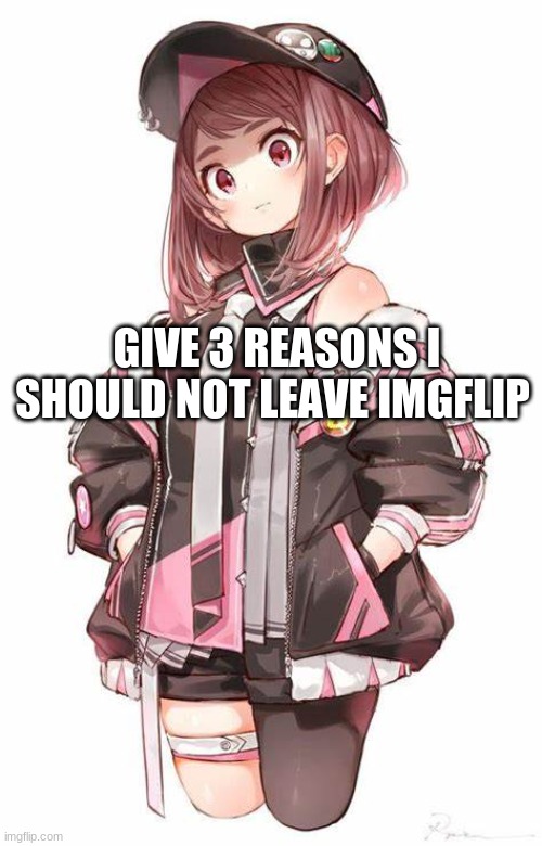 im leaving imgflip | GIVE 3 REASONS I SHOULD NOT LEAVE IMGFLIP | made w/ Imgflip meme maker