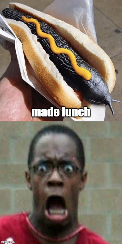  made lunch | image tagged in lunch time,funny memes,funny,meme,hotdog,eating healthy | made w/ Imgflip meme maker