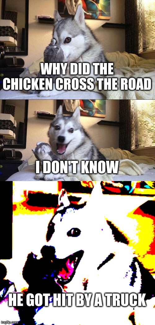 Bad Pun Dog |  WHY DID THE CHICKEN CROSS THE ROAD; I DON'T KNOW; HE GOT HIT BY A TRUCK | image tagged in memes,bad pun dog,beep beep | made w/ Imgflip meme maker
