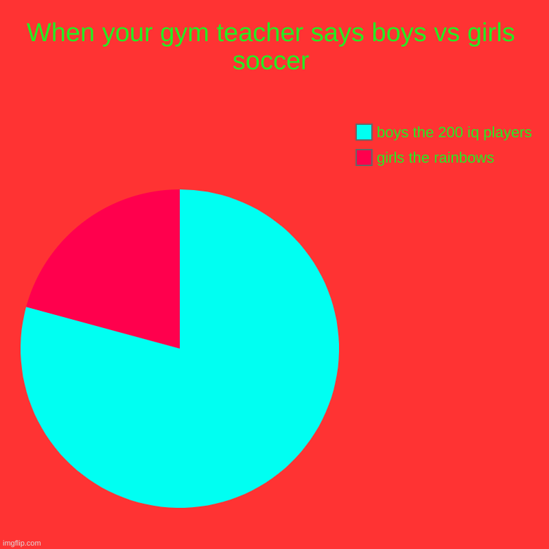 When your gym teacher says boys vs girls soccer | girls the rainbows, boys the 200 iq players | image tagged in charts,pie charts | made w/ Imgflip chart maker