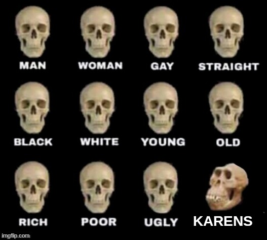 karen be like | KARENS | image tagged in idiot skull | made w/ Imgflip meme maker