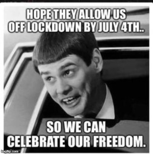Dumb and Dumber | image tagged in july 4th | made w/ Imgflip meme maker