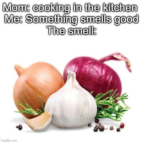 ngl i actually like garlic and onion together | Mom: cooking in the kitchen 
Me: Something smells good
The smell: | image tagged in onion,garlic | made w/ Imgflip meme maker