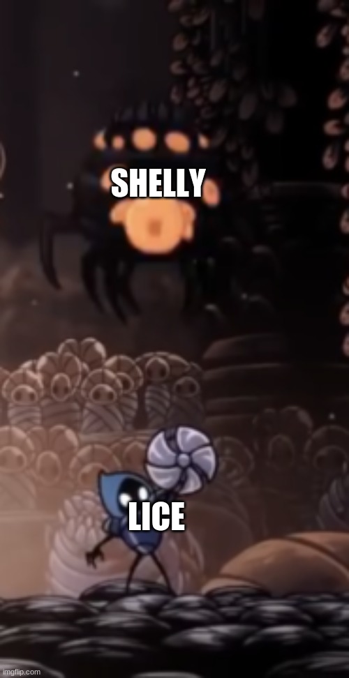 Tiso | SHELLY; LICE | image tagged in tiso | made w/ Imgflip meme maker
