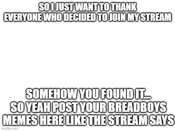 Thanks to the people to decided to follow lol | SO I JUST WANT TO THANK EVERYONE WHO DECIDED TO JOIN MY STREAM; SOMEHOW YOU FOUND IT... SO YEAH POST YOUR BREADBOYS MEMES HERE LIKE THE STREAM SAYS | image tagged in blank white template | made w/ Imgflip meme maker
