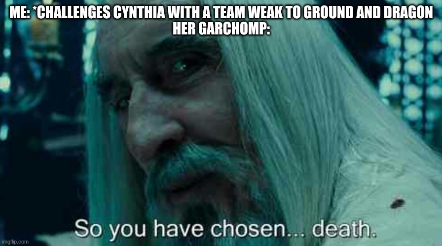 So you have chosen death | ME: *CHALLENGES CYNTHIA WITH A TEAM WEAK TO GROUND AND DRAGON
HER GARCHOMP: | image tagged in so you have chosen death | made w/ Imgflip meme maker