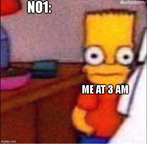 True or Not? | NO1:; ME AT 3 AM | image tagged in 3am | made w/ Imgflip meme maker