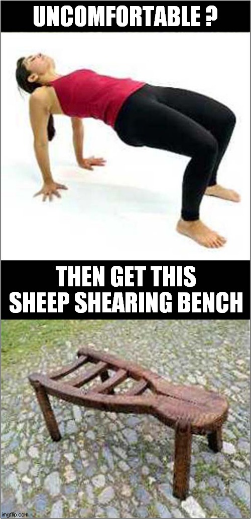 Lazy Yoga ? | UNCOMFORTABLE ? THEN GET THIS SHEEP SHEARING BENCH | image tagged in lazy,yoga,bench | made w/ Imgflip meme maker