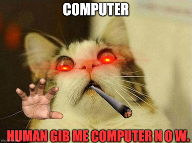Scared Cat | COMPUTER; HUMAN GIB ME COMPUTER N O W. | image tagged in memes,scared cat | made w/ Imgflip meme maker