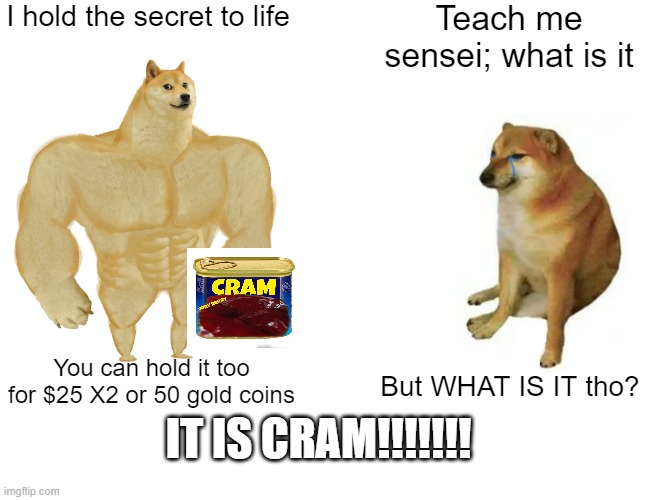 CRAM IS CRAM | I hold the secret to life; Teach me sensei; what is it; You can hold it too for $25 X2 or 50 gold coins; But WHAT IS IT tho? IT IS CRAM!!!!!!! | image tagged in memes,buff doge vs cheems | made w/ Imgflip meme maker