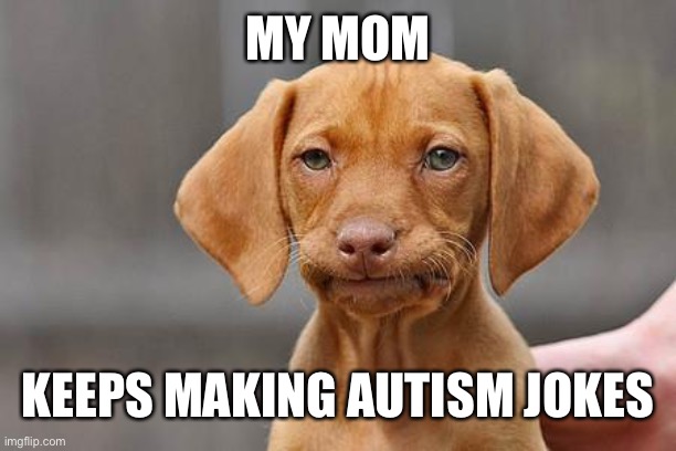 pls help | MY MOM; KEEPS MAKING AUTISM JOKES | image tagged in dissapointed puppy | made w/ Imgflip meme maker