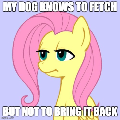 I have to retrieve for her! | MY DOG KNOWS TO FETCH; BUT NOT TO BRING IT BACK | image tagged in tired of your crap,memes,fetch,dog | made w/ Imgflip meme maker