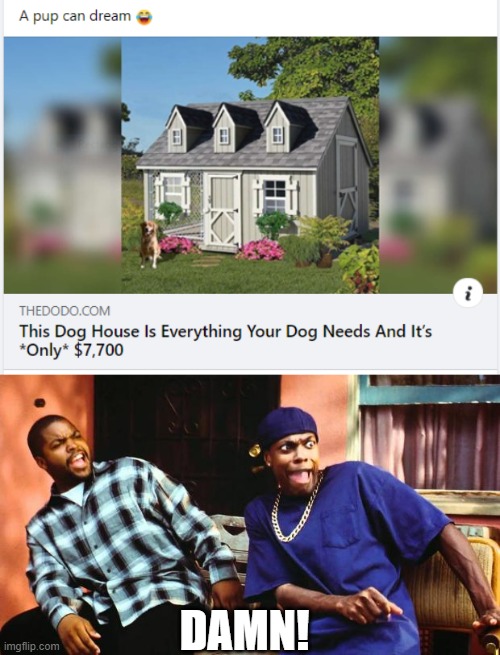 That's one heck of a dog house! | DAMN! | image tagged in ice cube damn,memes,funny | made w/ Imgflip meme maker