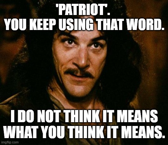 Patriot. | 'PATRIOT'. 
YOU KEEP USING THAT WORD. I DO NOT THINK IT MEANS WHAT YOU THINK IT MEANS. | image tagged in memes,inigo montoya,patriot | made w/ Imgflip meme maker