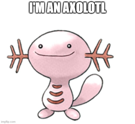 Axolotl | I'M AN AXOLOTL | image tagged in axolotl | made w/ Imgflip meme maker