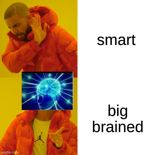 Drake Hotline Bling | smart; big brained | image tagged in memes,drake hotline bling | made w/ Imgflip meme maker