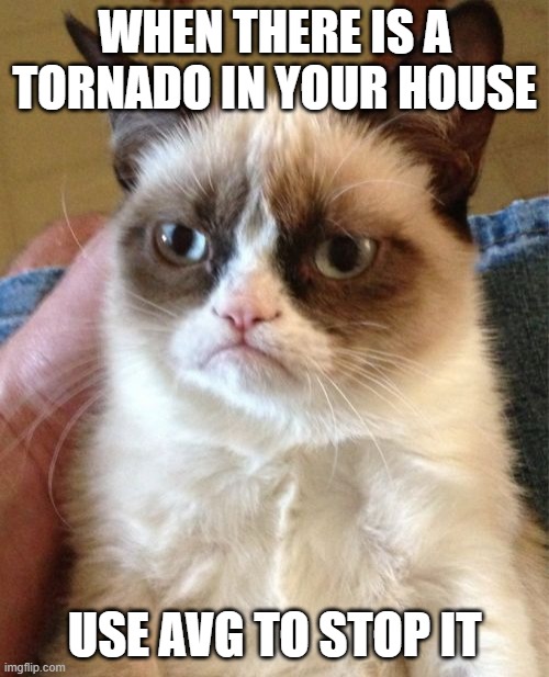 Grumpy Cat Meme | WHEN THERE IS A TORNADO IN YOUR HOUSE; USE AVG TO STOP IT | image tagged in memes,grumpy cat | made w/ Imgflip meme maker