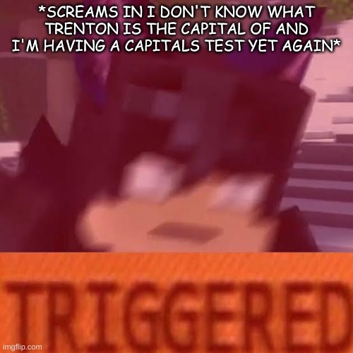 Ein triggered | *SCREAMS IN I DON'T KNOW WHAT TRENTON IS THE CAPITAL OF AND I'M HAVING A CAPITALS TEST YET AGAIN* | image tagged in ein triggered | made w/ Imgflip meme maker